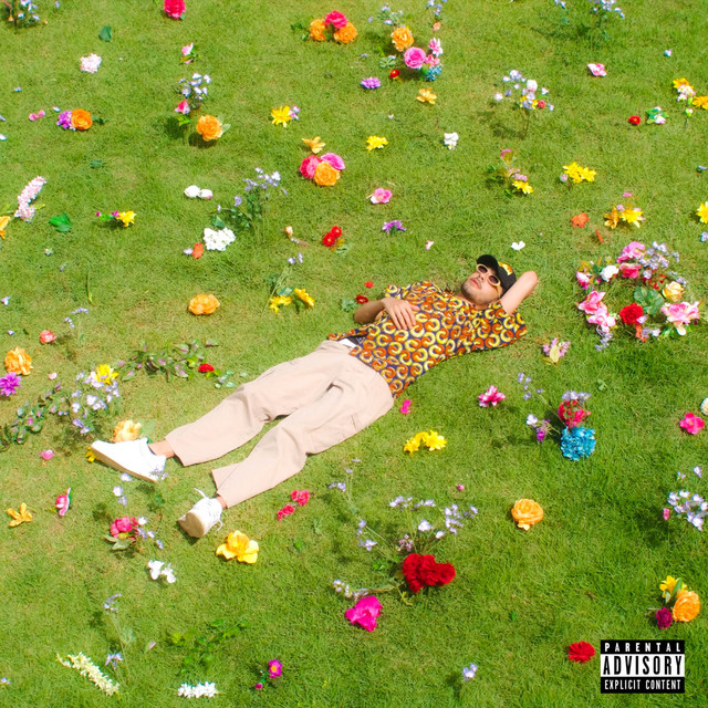 SZN cover art