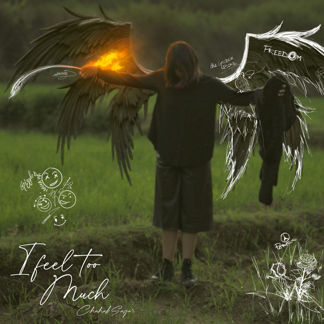 I Feel Too Much cover art