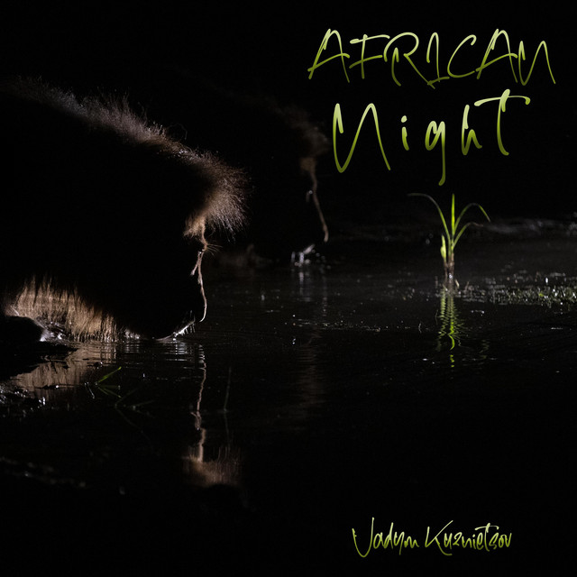 Обкладинка: African Night — Vadym Kuznietsov