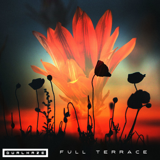 Full Terrace cover art