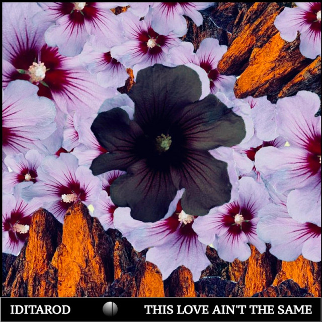 This Love Ain't the Same - Single by Iditarod | Spotify