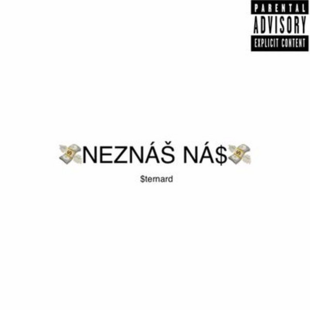 NEZNÁŠ NÁ$ cover art