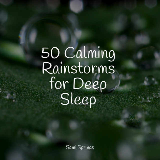 50 Calming Rainstorms for Deep Sleep - Album by Sonidos De Lluvia y ...