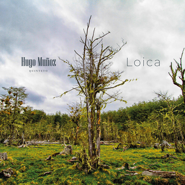 Loica