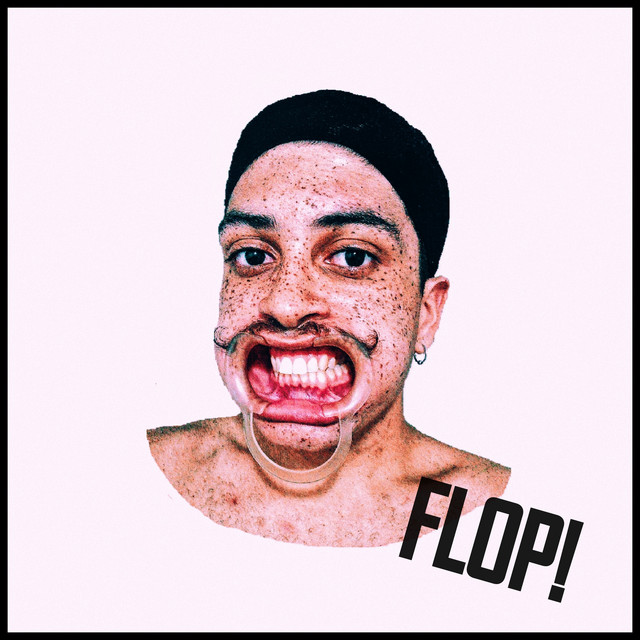 Flop! cover art