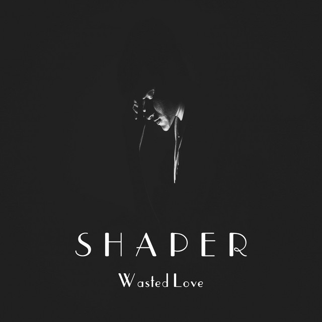 Wasted Love cover