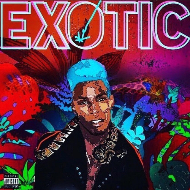 EXOTIC cover art