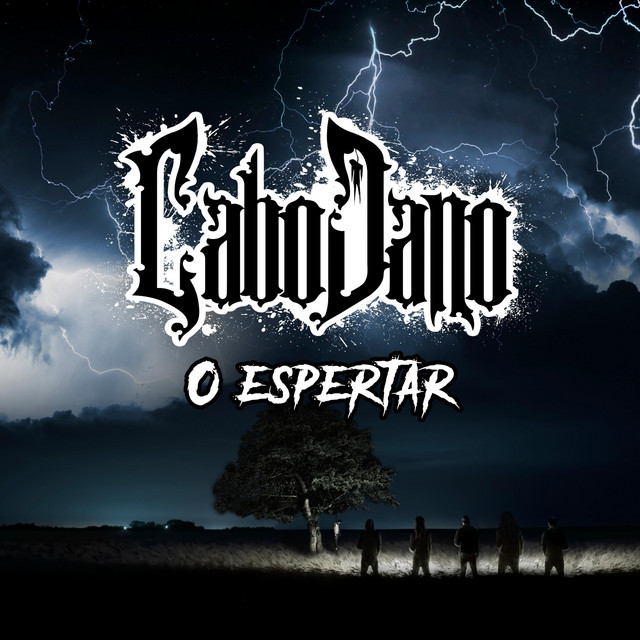 O Espertar cover art