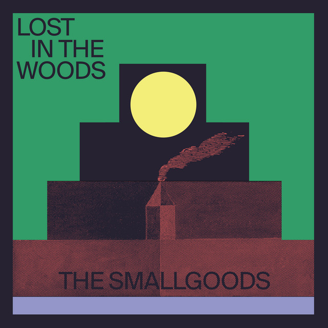Lost In The Woods cover