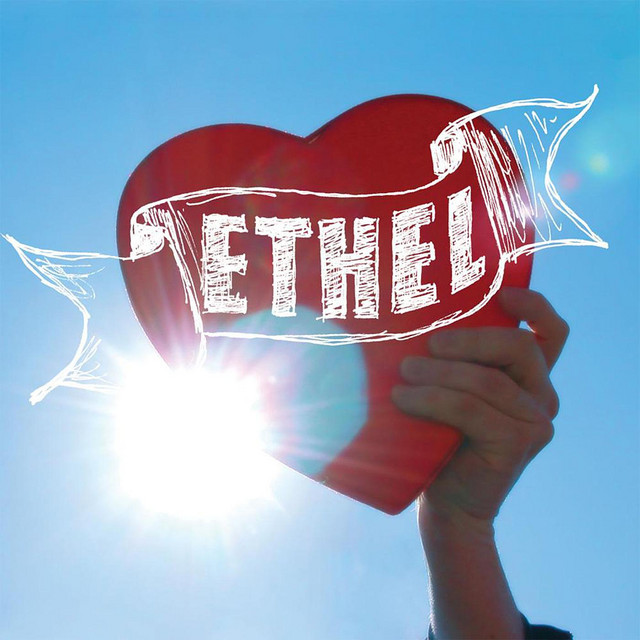 Light cover art