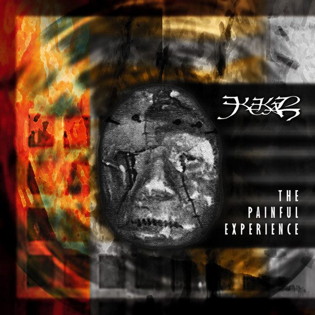 The Painful Experience cover art