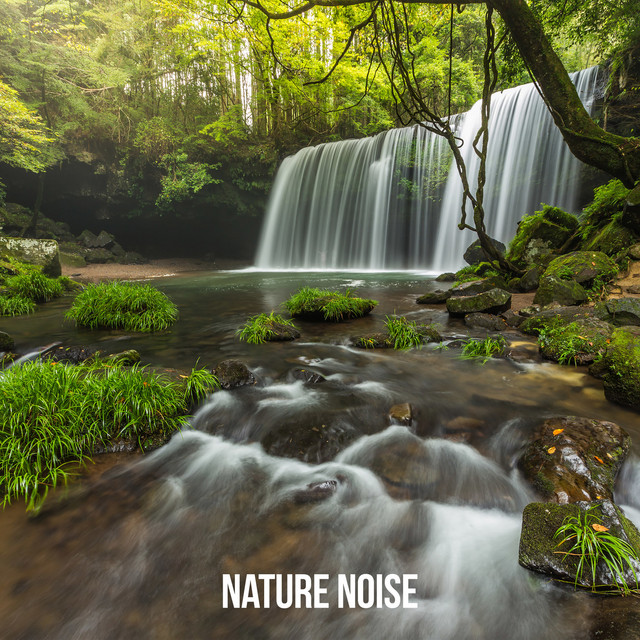 Nature Noise cover art