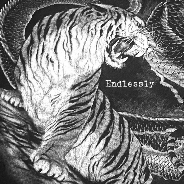 Endlessly cover art