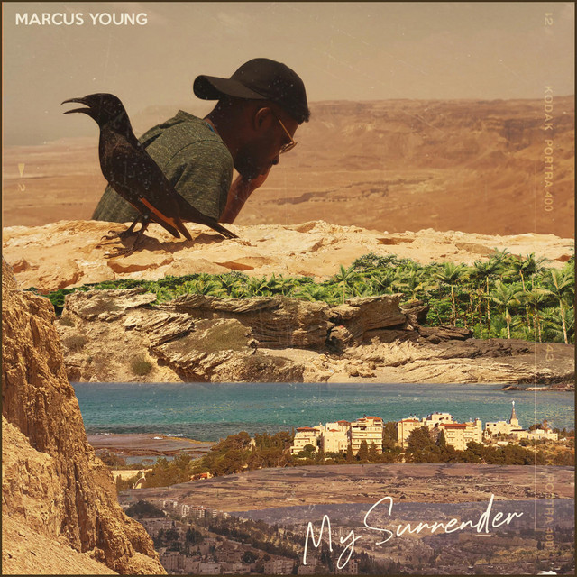 My Surrender cover art