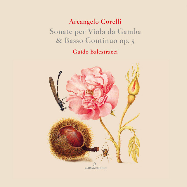 Sonate per Viola da Gamba & basso continuo op. 5: Sonata no 3 - Adagio