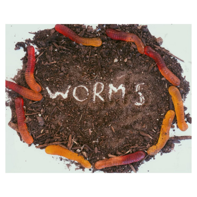 Worms cover art