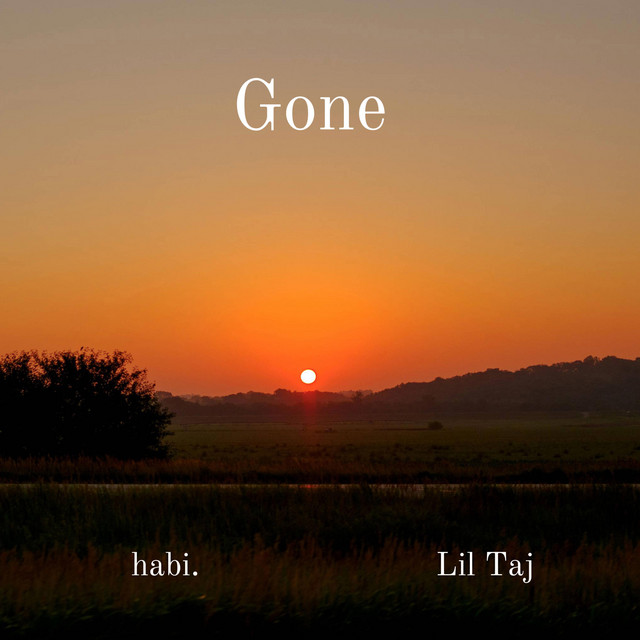 Gone cover art