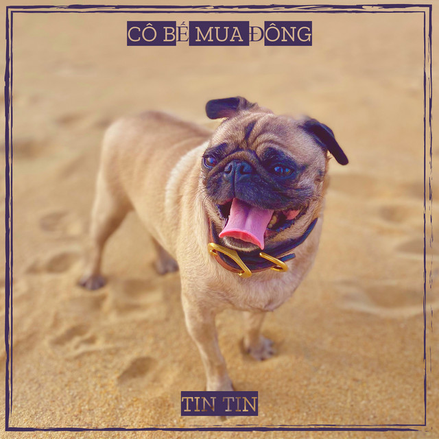 Tin Tin