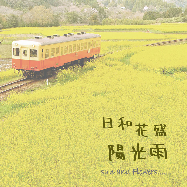 太陽雨 Song By Itmusicstudio Spotify
