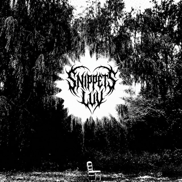 SNIPPETSLUV cover art