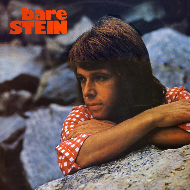 Bare Stein cover art