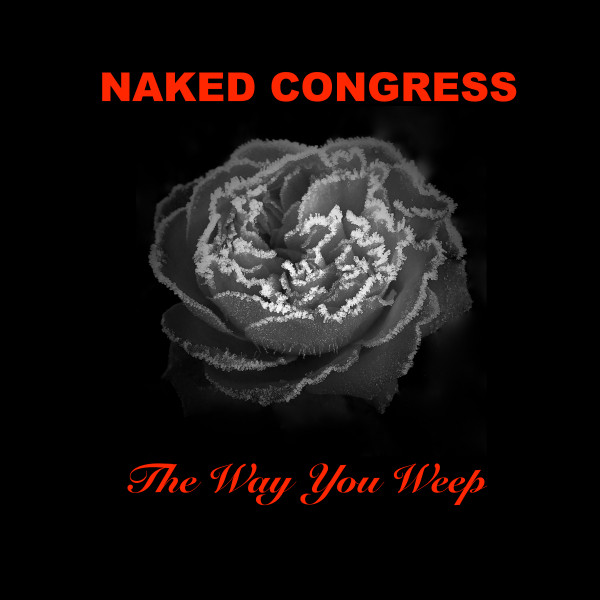 Naked Congress