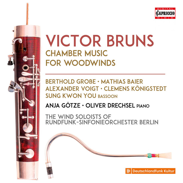 Bruns: Chamber Music for Woodwinds cover