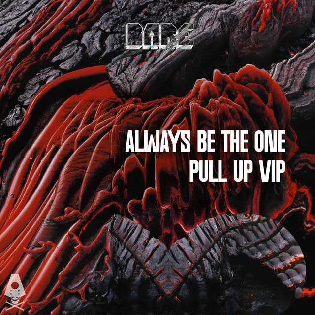 Pull Up VIP album art