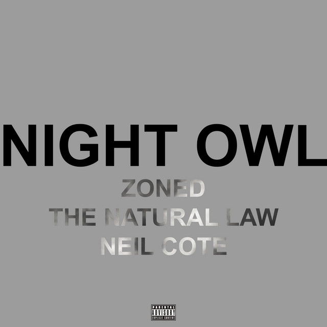 Night Owl cover