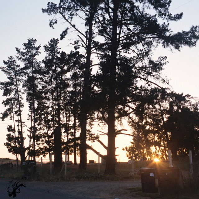 Sun Chasing cover art