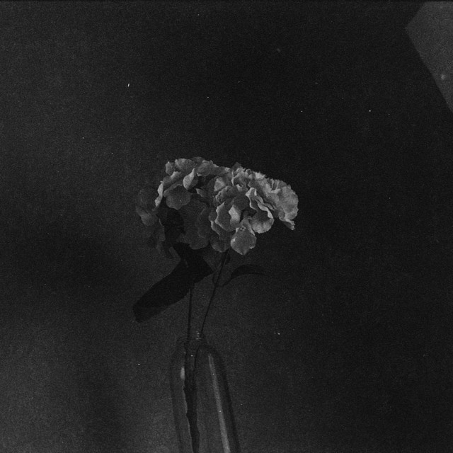 Absent Voice (single)