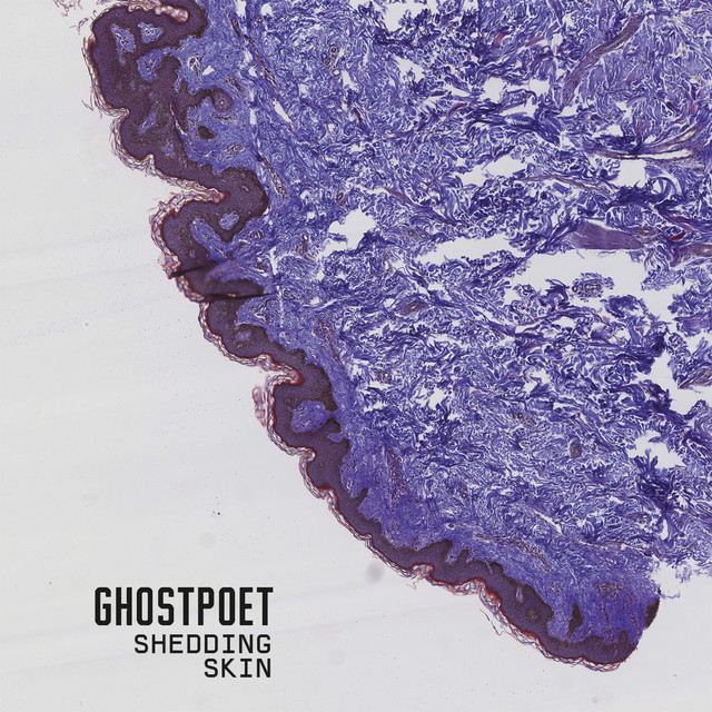 X Marks the Spot (feat. Nadine Shah)