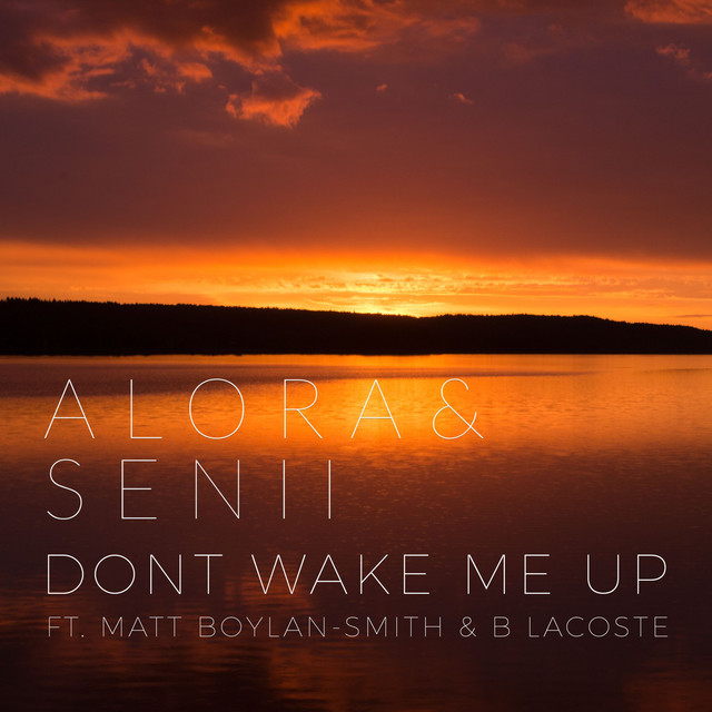 Don't Wake Me Up (feat. Matt Boylan-Smith & B. Lacoste)