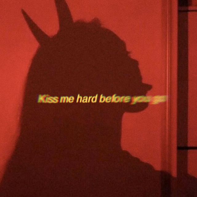 kiss me hard before you go cover art