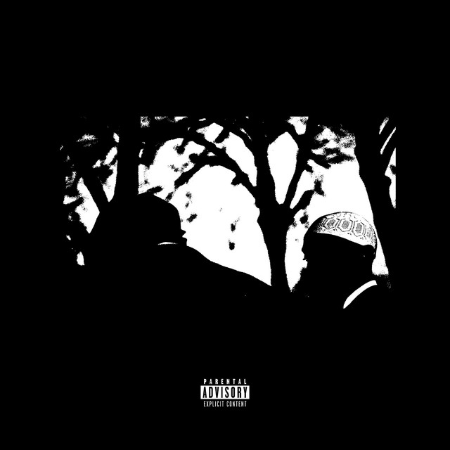 THE NEXT WILL BE THE LAST cover art