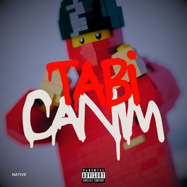 TABİ CANIM cover art