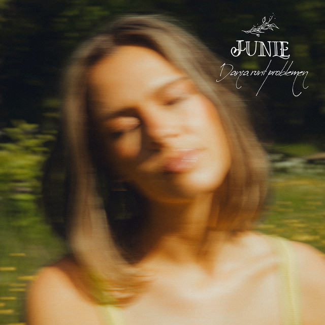 Dansa runt problemen cover art