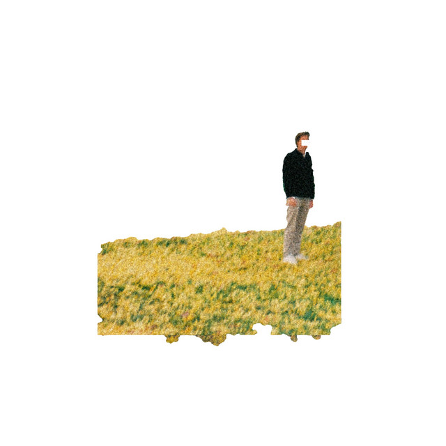 Where We Fall