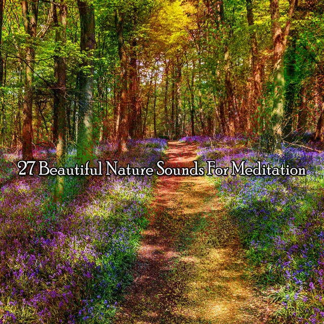 27 Beautiful Nature Sounds For Meditation - Album by Sound Library XL ...