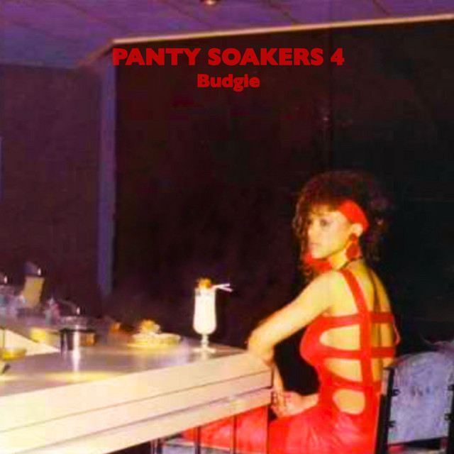 Panty Soakers 4 cover art