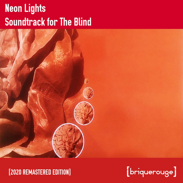Soundtrack For The Blind cover art