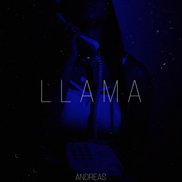 Llama cover art