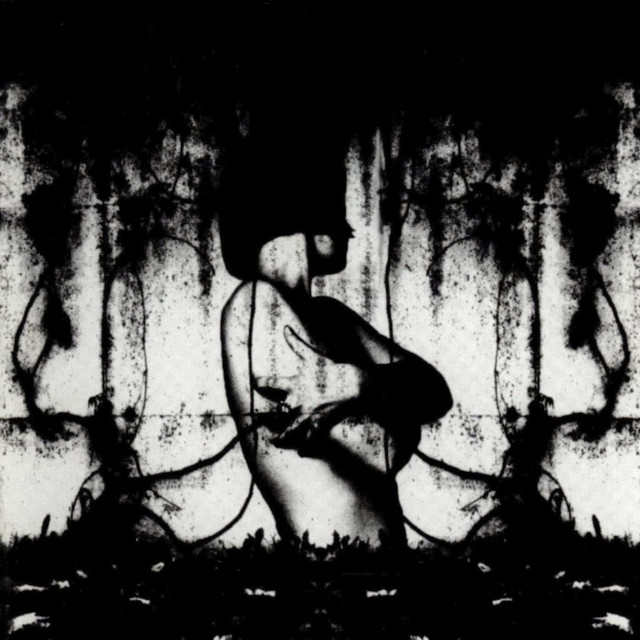 Pity Love cover art