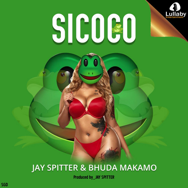 SICOCO album image