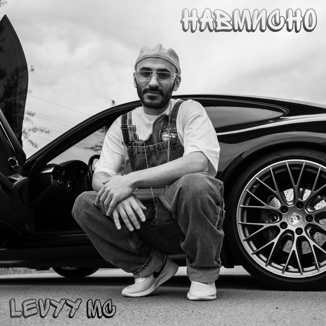 Обкладинка: Навмисно — Levyy MC