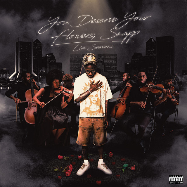 You Deserve Your Flowers, Snapp cover art