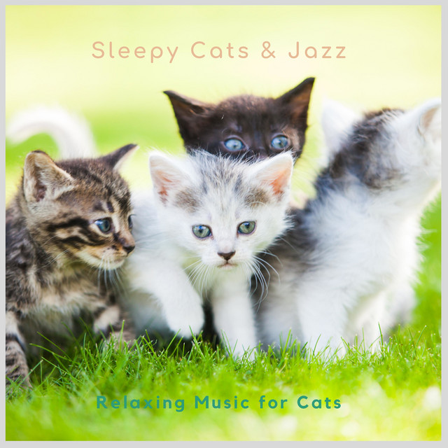 Sleepy Cats & Jazz - Album by Relaxing Music for Cats | Spotify