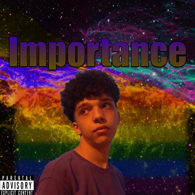 Importance cover art