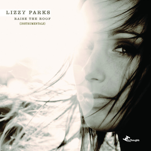 Raise the Roof (Instrumentals) cover art