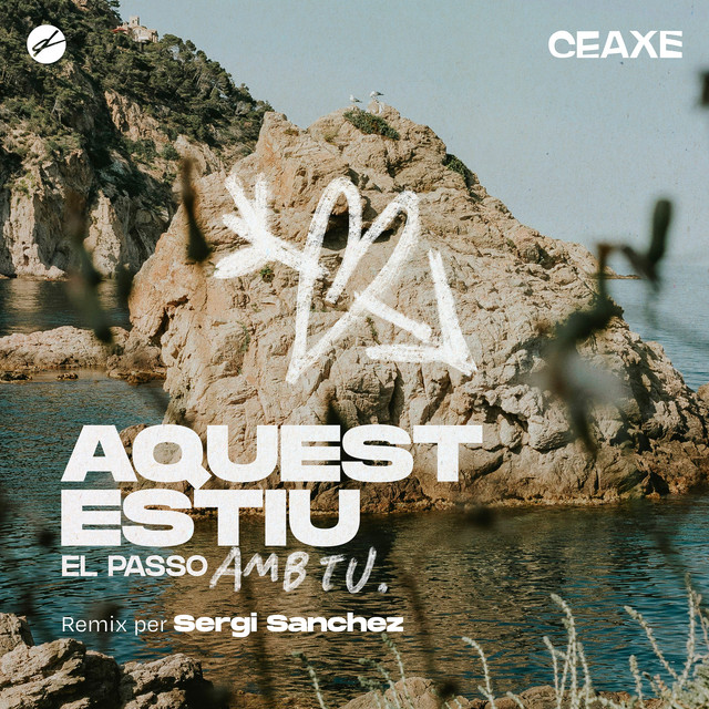 AQUEST ESTIU EL PASSO AMB TU - Remix